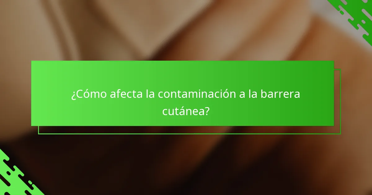 ¿Cómo afecta la contaminación a la barrera cutánea?