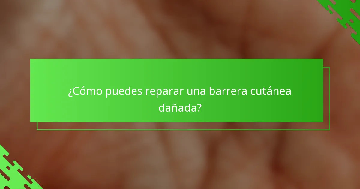 ¿Cómo puedes reparar una barrera cutánea dañada?