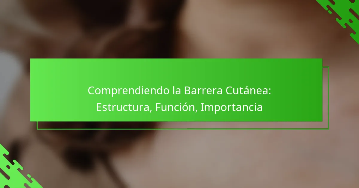 Comprendiendo la Barrera Cutánea: Estructura, Función, Importancia